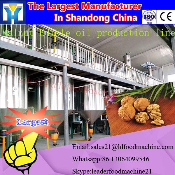 Small Scale Palm Oil Refining Machinery/palm oil extraction machine price #1 image
