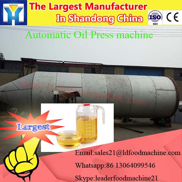 Hot sale 40kg - 60kg/h vacuum screw type oil press /essential oil extraction equipment LD-PR50A #1 image