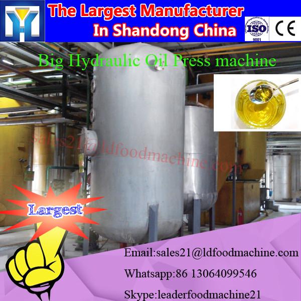 Palm Oil mill, Palm Fruits pressing oil machine, Palm crude oil extraction line #1 image