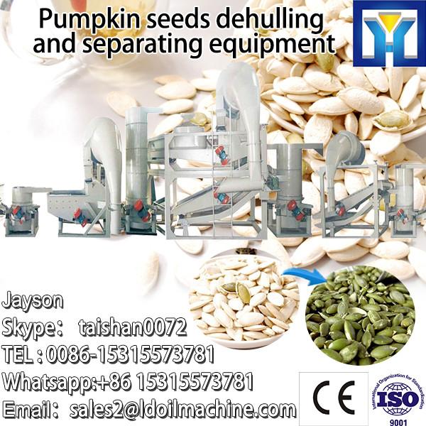Strong structure sunflower seed hulling machine TFKH1200 #1 image