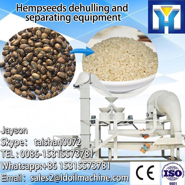 Fried Seeds Automatic Screw Type Oil Press Machine #1 image