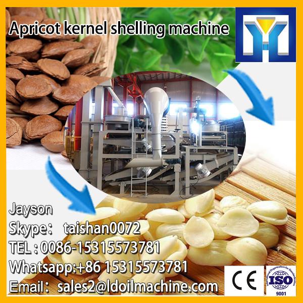 factory sale Apricot apricot flesh separator/walnut processing machine/high efficiency Almond pulp separator  #1 image