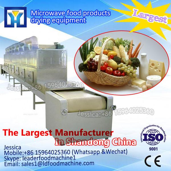 Factory direct sales holothurian Continuous microwave drying machine #1 image