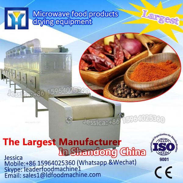Factory direct sales Red Lobster continuous microwave drying machine #1 image