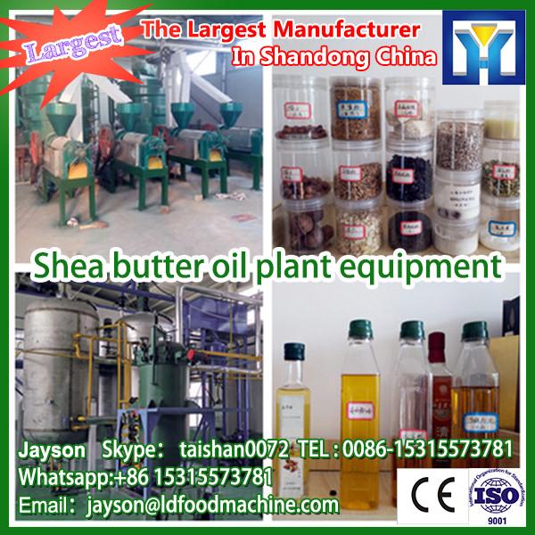 Europeam standard palm kernel mill oil machine with good price #1 image
