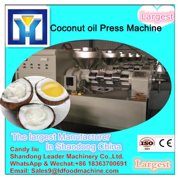 Screw cold mechanical press machine to extract virgin coconut oil #1 image