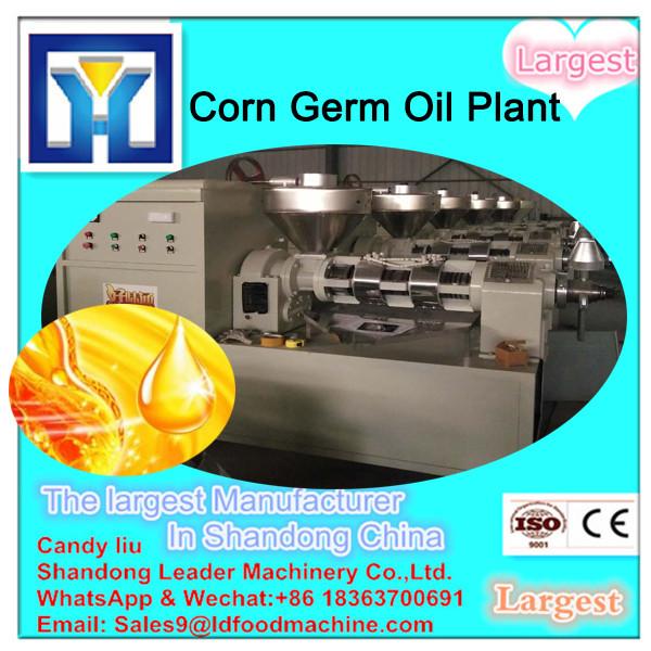 CE certificate issued palm kernel oil extraction machine #1 image