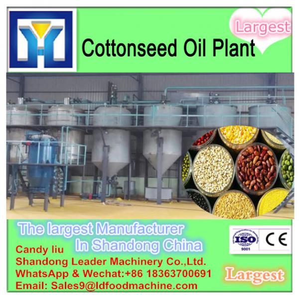 High oil yield palm kernel oil extraction process #1 image