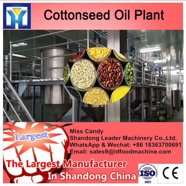 High efficiency sunflower oil production line #1 image