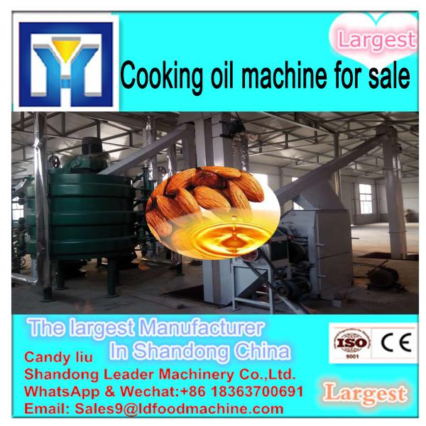 LD Small business Cold Flaxseeds Sacha Inchi Oil Press Machine #2 image