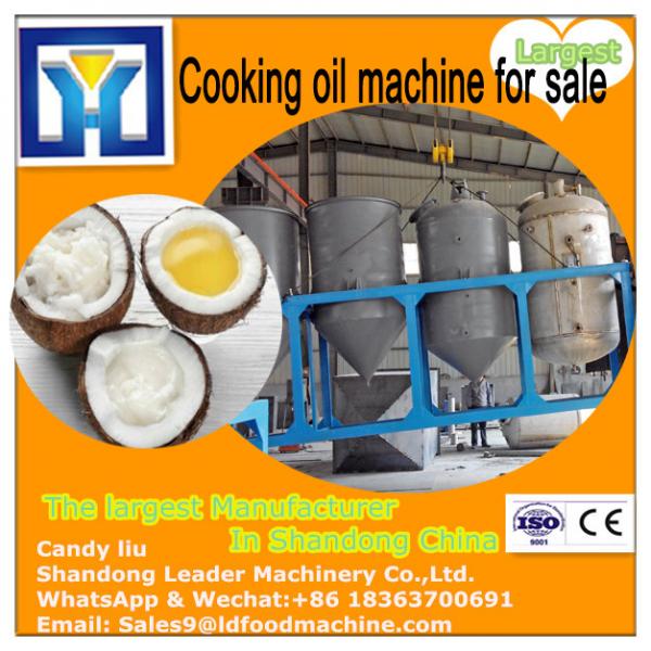 LD Factory Price Different Models Pumpkin Seed Oil Press Machine #2 image