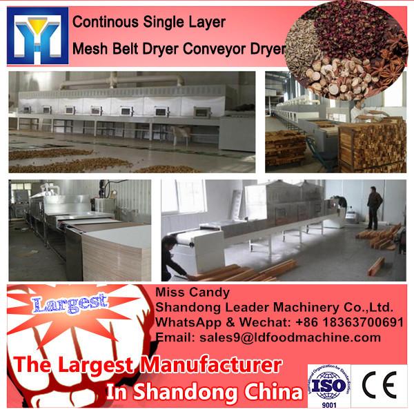 Single Layer Conveyor Mesh Belt Dryer, Belt Drying Machine #1 image