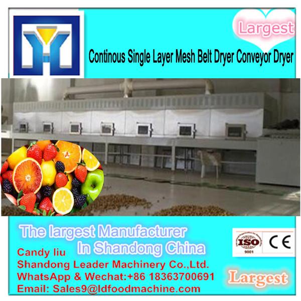 apple sludge dryer/drying machine #3 image