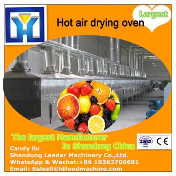 High Quality Drying Oven for Fruit Pulp and Vegetable Dehydration #2 image