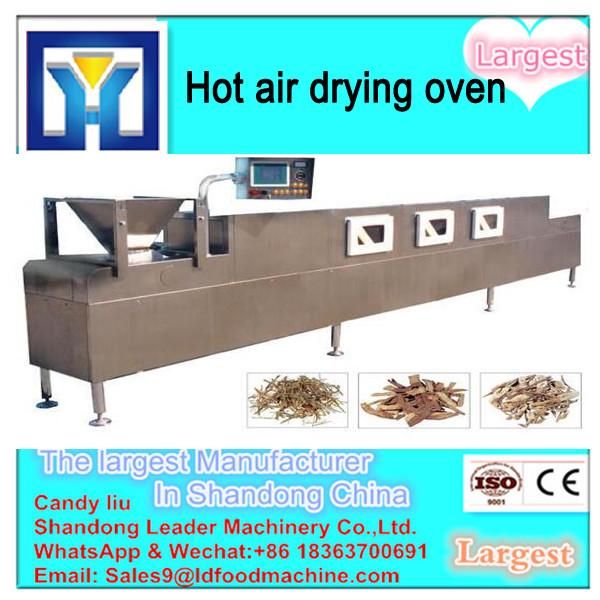 High Quality Drying Oven for Fruit Pulp and Vegetable Dehydration #1 image