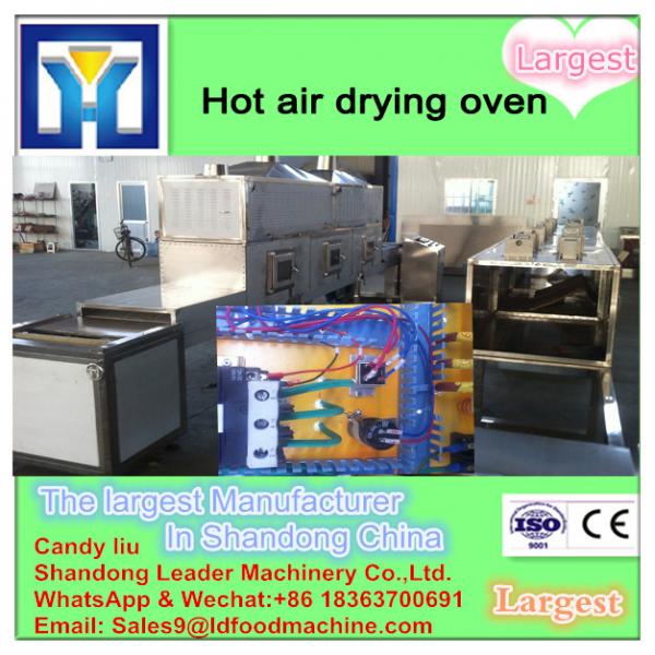 Factory Supply Hot Air Circulation Fruit And Flower Drying Machine For Sale #1 image