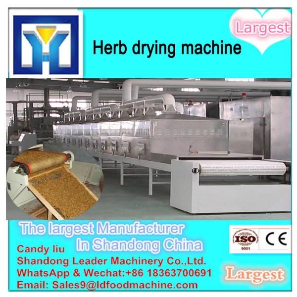 Herb Drying Machine/ mango slice dehydrator/ Moringa leaves dryer #1 image