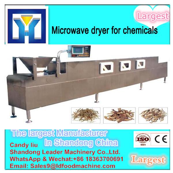 Stainless Steel New Condition Microwave Tunnel Conveyor Belt Type Dryer for Fruits,Vegetables #2 image