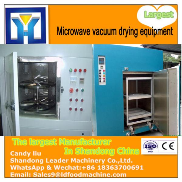 Industrial Conveyor Belt Type Microwave Oven #1 image
