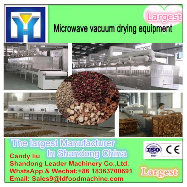 Industrial microwave vacuum red dates slices drying machine /vacuum microwave palm date dryer #3 image