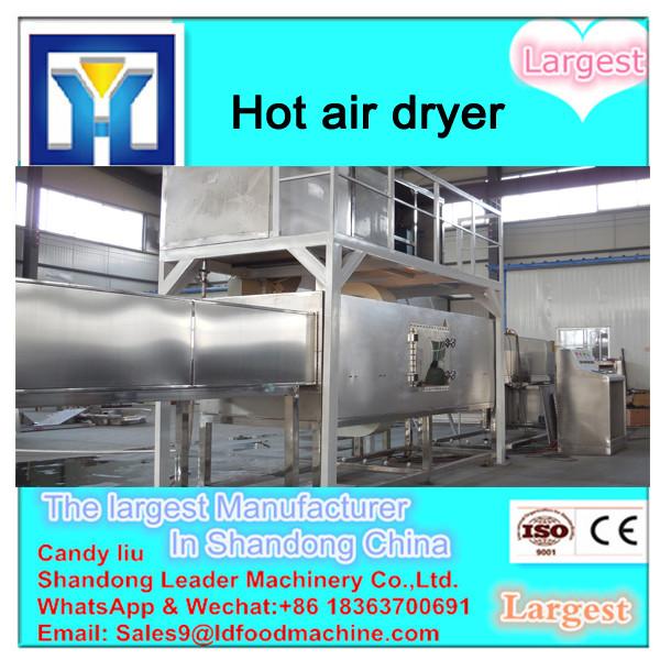 Bay leaf Multiple layer continuous type mesh belt dryer #1 image