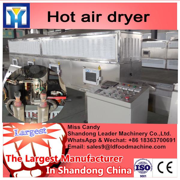 Hot selling plum dryer #1 image