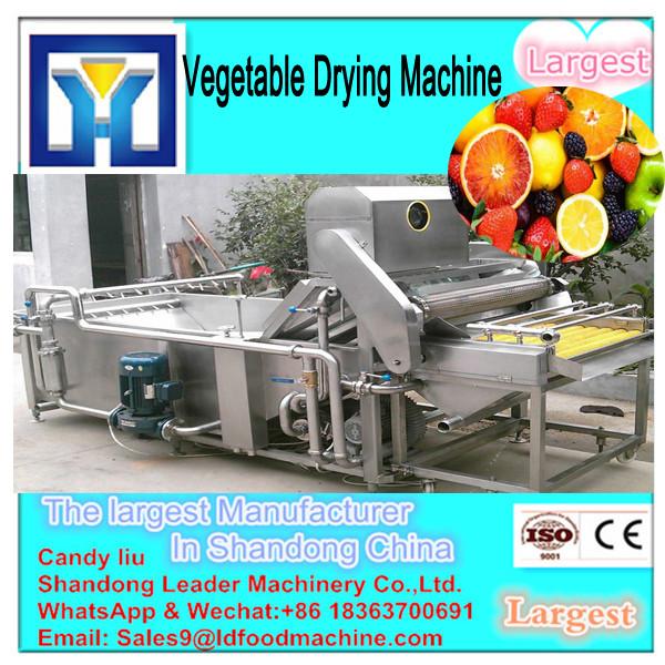 Factory supplier fruit drying machine, machine to dry fruits, dried fruit machines #3 image