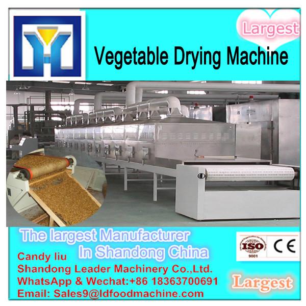 Batch Tray Type Machine For Drying Mango #3 image