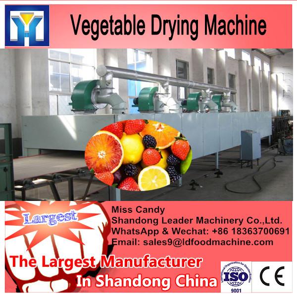 Industrial Vegetable Dehydrator/Fruit Drying Machine #2 image