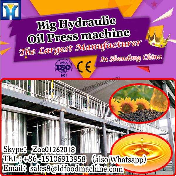 150-300kg/h automatic vacuum sunflower oil press with 2 oil filter buckets LD-PR80 #1 image