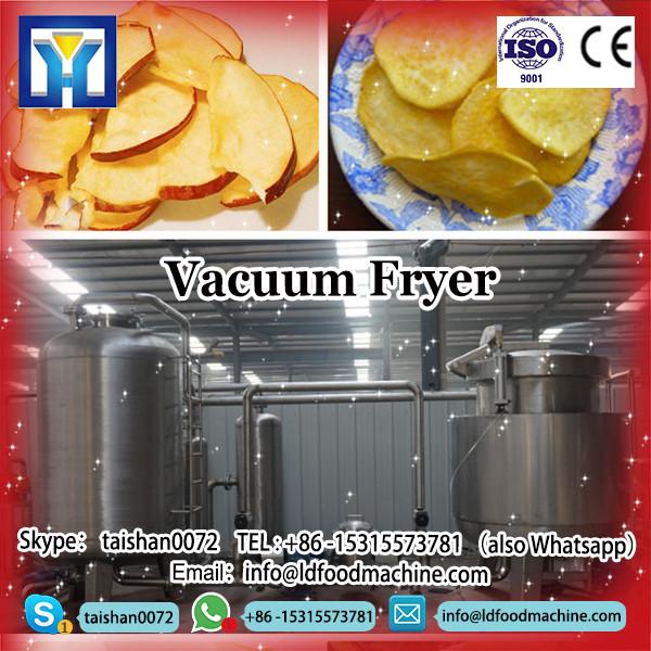 industrial LD frying machinery for fruit #1 image