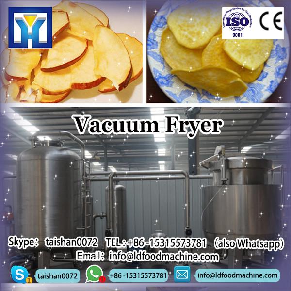 High quality Fruit crisp Chips Processing machinery-LD Frying &amp; potato LD Fryer BVF-60 #1 image