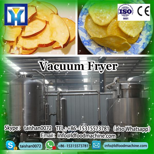 fruits chips LD fryer company #1 image