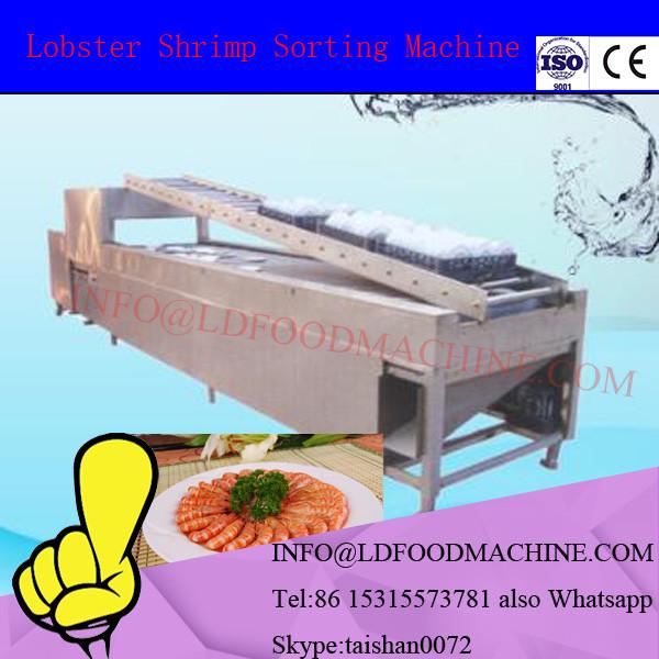 Seafood Processing Shrimp Grading machinery #1 image