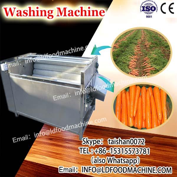 Rootstock Washing machinery Ginger Washer #1 image