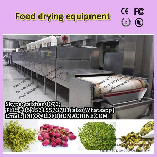 Fruit Dryer Microwave Drying/dewatering oven tunnel Equipment #1 image