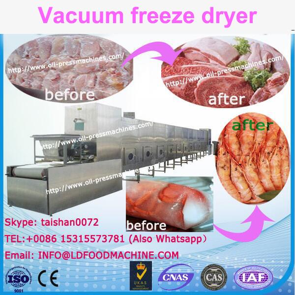 Freeze Drying Equipment LLDe and Overseas third-parLD support available After-sales Service Provided pilot freeze dryer #1 image